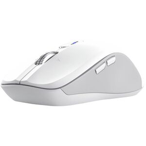 Trust 25674 myszka Uniwersalne Oburęczny Bluetooth 3200 DPI