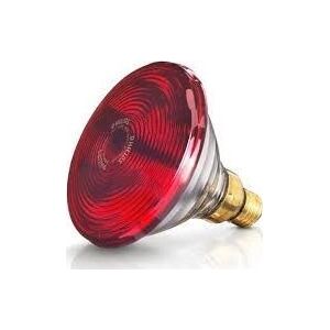 Beurer BEURER Żarówka 150W IL 21 / 35 Żarówka 150W do lamp BEURER IL 21 / 35