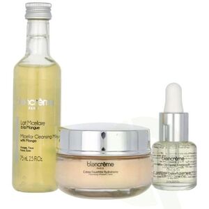 Blancreme Antioxidant Facial Trio Set