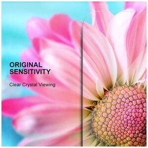 Γυαλί Tempered 2,5D Premium για iPhone X / XS / 11 Pro 5900495615275