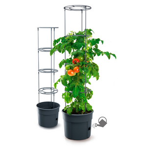 PROSPERPLAST PROSPERPLAST Γλαστράκι Tomato Grower ∅39,2 cm IPOM400-S433 έως 12 άτοκες Δόσεις