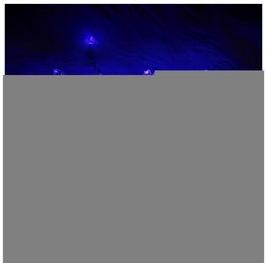 String light 100LED 8m blue Forever Light
