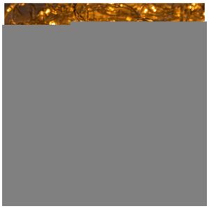 String light 240LED 19,2m warm white Forever Light
