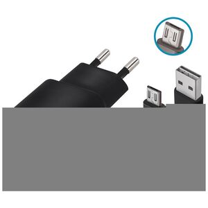Forever TC-01 charger 1x USB 2A black + microUSB cable 5900495623294
