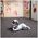 Maxlife remote-controlled dog MXRD-100 white 5907457734890