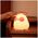 LED Night Lamp HUNGRY CHICKEN FNL-10 Forever Light 5907457738003