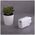 Maxlife MXTC-10-20AC PD QC charger 1x USB-C 1x USB 20W white 5907457789838