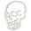 Neon PLEXI LED SKULL white FPNE07X Forever Light 5900495624642