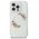 Original Case IPHONE 16 Guess Hardcase IML Flowers Wreath MagSafe (GUHMP16SHFWFCT) transparent 3666339311421
