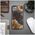 Bewood Unique Case for iPhone 15 Plus 6,7&quot; Planets Pluto 5907511792774