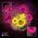 Neon ART LED PUNK TEDDY BEAR pink-yellow FLA01 Forever Light 5900495064165