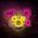 Neon ART LED PUNK TEDDY BEAR pink-yellow FLA01 Forever Light 5900495064165