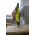 Ryobi Szlifierka prosta EHT150V 150W 5133000754