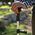 InnovaGoods InnovaGoods Extendable Walking Stick with LED