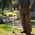 InnovaGoods InnovaGoods Extendable Walking Stick with LED