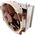 Ψύκτη CPU Noctua NH-U14S 573119 4716123314950