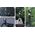 SunnyLife Ramka Obudowa Frame Mount Uchwyt Mocowanie Do Insta360 Insta 360 Go 3 / Go 3s / Zj843