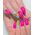 Semilac Lakier hybrydowy 7 ml Pink Wink 170 1191948 5901867978981