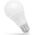 Spectrum LED GLS E-27, 230V, 7W, NW (WOJ13897) 1225643 5907418765925