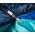 Coleman Śpiwór Fision 100 (053-L0000-2000028601-228) 1257339 3138522092818
