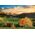 Clementoni Puzzle 3000el Alpy (33545) 1380750 8005125335459