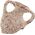 Zolux Fragment amfory ARKEO S 1548661 3336023556000