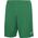 Joma Spodenki Nobel zielony r. S (100053.450) 1604798 9995138944061