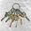 Breloczek Nite Ize KeyRing+ 6 x micro karabińczyk ze stali nierdzewnej (KRGS-11-R3) 1682665 94664026261
