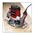 Frezarka Einhell RT-RO 55 1200 W 3050624 4006825537215