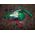 Odkurzacz ręczny Stayer ODKURZACZ SAMOCHODOWY CV 12 HOBBY STAYER (CV12) - STA-CV12 3061872 8427648215344