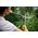 Fiskars Nożyce SmartFit do żywopłotu (114800) 3070046 1110003144911