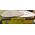 Klingspor Krążek ścierny samoprzyczepny 225mm gr.180 1szt. - 214629 3101894 5907560174880