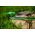Cellfast Wąż ogrodowy Green 1/2" 25m (15-100) 3106098 5901828852404