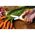 Fiskars Nożyczki kuchenne Classic 18cm pomarańczowe 859874 3124457 6411501987471