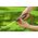 Gardena Zraszacz prosty CIASSIC - 18300-20 3172370 4078500010733