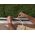 Tesa Uszczelka gumowa 9mm profil P brązowa 25m (0539103) 3182713 4042448904539