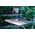 Wolfcraft Szczotka nylonowa doczołowa 65mm trzpień 6mm czerwona (1506000) 3183827 4006885150607