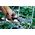 Wolfcraft Szczotka doczołowa 100mm nylonowa (2727000) 3192051 4006885272705