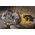 Dewalt Piła tarczowa 216x30mmx40z (DT1953-QZ) 4084879 5035048095706