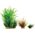 Zolux Dekoracja roślinna PlantKit Wiha model 2 (352141) 4961155 3336023521411
