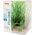 Zolux Dekoracja roślinna PlantKit Wiha model 1 (352140) 4961156 3336023521404