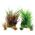 Zolux Dekoracja roślinna PlantKit Jalaya model 3 (352147) 4961158 3336023521473