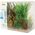 Zolux Dekoracja roślinna PlantKit Jalaya model 3 (352147) 4961158 3336023521473