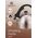 KingHoff CZAJNIK STALOWY 1.5L KINGHOFF [KH-3324] 6311783 5908287233249