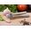 KingHoff KINGHOFF WYCISKACZ DO CZOSNKU KH-1461 6311862 5908287214613