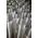 Prodmax Aluflex 160 (rura aluminiowa) 6640676 5904617430142