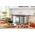 Sencor SPR 7200SS Slow Cooker SENCOR 6648897 8590669282166