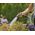 Gardena  Prysznic ogrodowy do podlewania roślin grey/orange 6801650 4078500044608