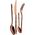 Berlinger Haus KOMPLET SZTUĆCÓW 24-ele BŁYSZCZĄCE BERLINGER HAUS ROSEGOLD BH-2621 7306519 5999108416842