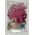 Craft with Fun CF OZDOBA DEK TASMA SPRZYL FILC GWI2M/3CM 12/288 7615580 5908275110866
